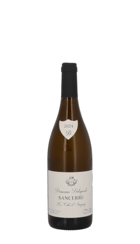 Domaine Delaporte, Côte d'Amigny 2024 Blanc 75cl