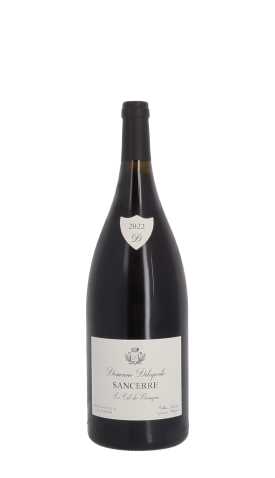 Domaine Delaporte, Le Cul de Beaujeu 2022 Rouge Magnum