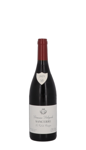 Domaine Delaporte, Le Cul de Beaujeu 2025 Rouge 75cl