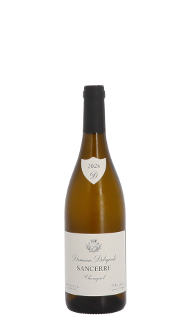 Domaine Delaporte, Chavignol 2024 Blanc 75cl