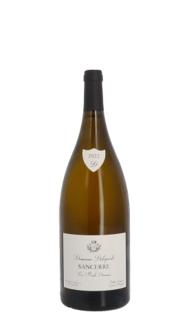 Domaine Delaporte, Les Monts Damnés 2022 Blanc Magnum