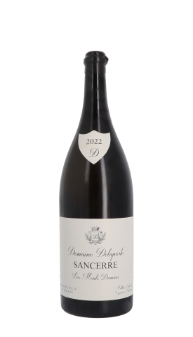 Domaine Delaporte, Les Monts Damnés 2022 Blanc Double Magnum