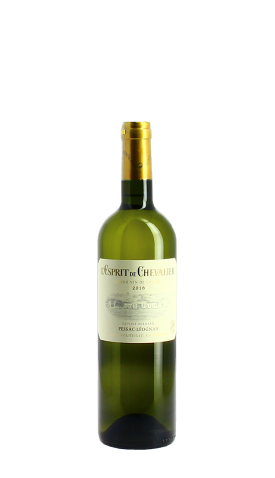 Domaine de Chevalier, L'Esprit de Chevalier blanc 2020 Blanc 75cl