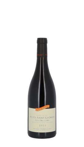 Domaine David Duband, Les Pruliers 2022 Rouge 75cl