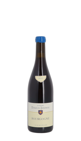 Domaine Vincent Dureuil-Janthial 2023 Rouge 75cl