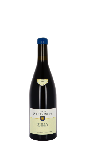 Domaine Vincent Dureuil-Janthial, En Guesnes 2020 Rouge 75cl