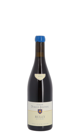 Domaine Vincent Dureuil-Janthial, En Guesnes 2023 Rouge 75cl