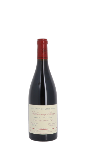 Egly-Ouriet, Ambonnay rouge 2020 Rouge 75cl