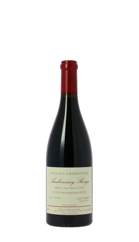 Egly-Ouriet, Ambonnay rouge 2021 Rouge 75cl