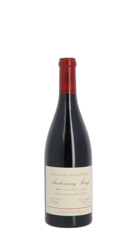Egly-Ouriet, Ambonnay rouge 2022 Rouge 75cl