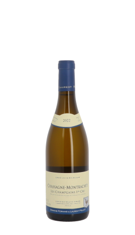 Domaine F&L Pillot, Champgains 2022 Blanc 75cl