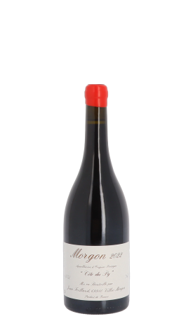 Domaine Jean Foillard, "Côte du Py" 2022 Rouge 75cl