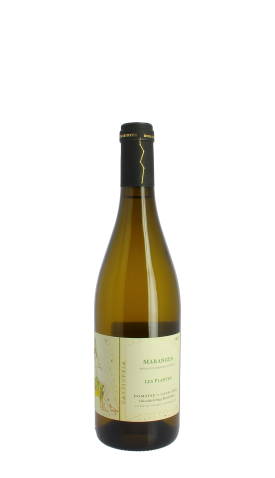 Domaine Cassiopée, Les Plantes 2023 Blanc 75cl