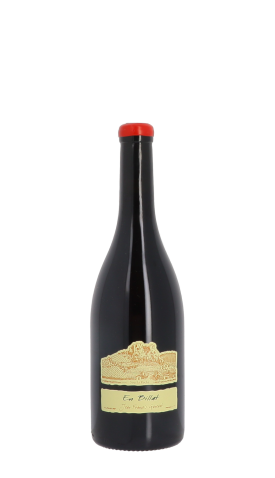 Domaine Jean-François Ganevat, En Billat 2023 Rouge 75cl