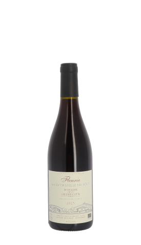 Domaine de la Grand'Cour, Chapelle des Bois 2023 Rouge 75cl