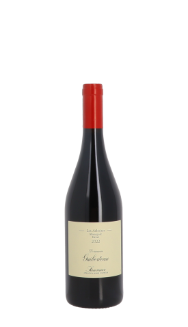 Domaine Guiberteau, Les Arboises 2022 Rouge 75cl