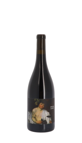 Hors Champ, Une vie la nuit 2022 Rouge 75cl