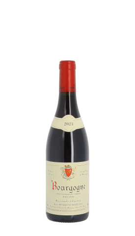 Domaine Hudelot-Noëllat 2023 Rouge 75cl