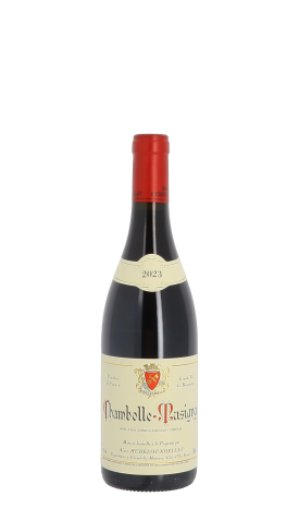 Domaine Hudelot-Noëllat 2023 Rouge 75cl