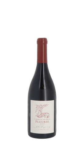 Domaine Jules Desjourneys, Chapelle des Bois 2013 Rouge 75cl