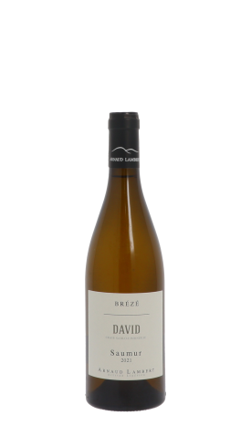 Arnaud Lambert, Clos David 2021 Blanc 75cl