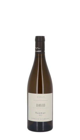 Arnaud Lambert, Clos David 2023 Blanc 75cl