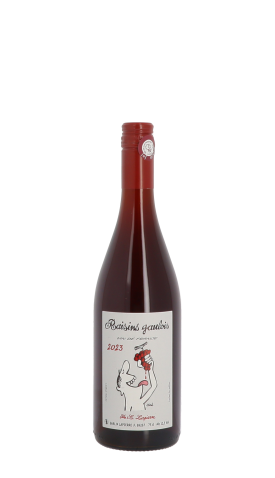 Domaine Marcel Lapierre, Raisins Gaulois 2023 Rouge 75cl