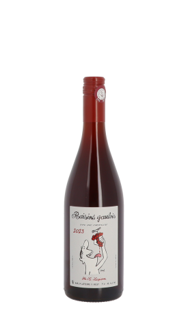 Domaine Marcel Lapierre, Raisins Gaulois 2023 Rouge 75cl