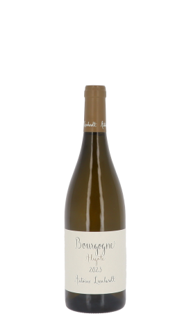 Domaine Antoine Lienhardt 2023 Blanc 75cl