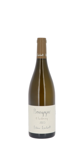 Domaine Antoine Lienhardt 2023 Blanc 75cl