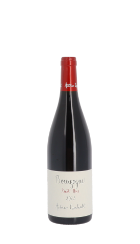 Domaine Antoine Lienhardt 2023 Rouge 75cl