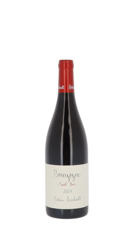 Domaine Antoine Lienhardt 2024 Rouge 75cl