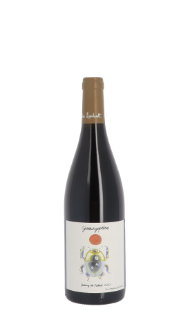 Domaine Antoine Lienhardt, Gamayoptère 2023 Rouge 75cl
