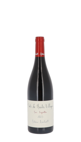 Domaine Antoine Lienhardt 2023 Rouge 75cl
