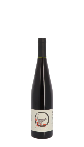 Domaine Christophe Lindenlaub, A pas de velours 2023 Rouge 75cl