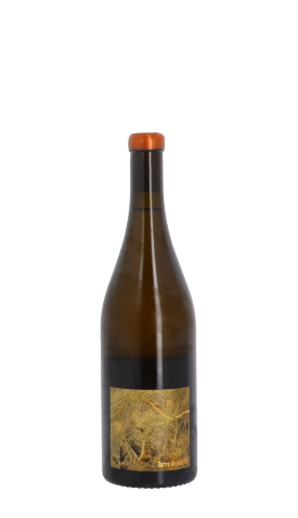 Domaine Luneau-Papin, Terre de Pierre 2022 Blanc 75cl