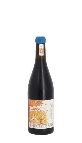 Domaine Mayard 2024 Rouge 75cl