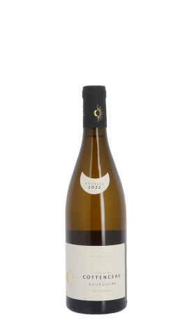 Maxime Cottenceau, Les Verchères 2022 Blanc 75cl
