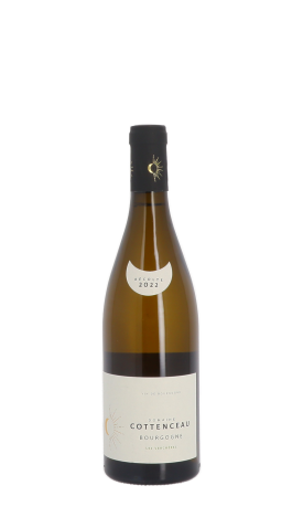 Maxime Cottenceau, Les Verchères 2022 Blanc 75cl