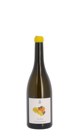 Michel Delhommeau, Delta 2023 Blanc 75cl