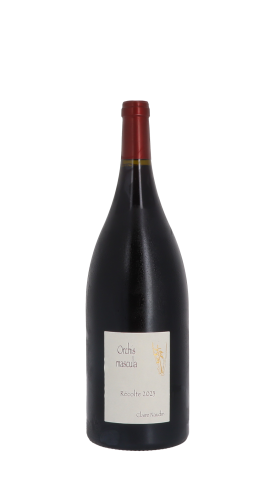 Claire Naudin, Orchis mascula 2023 Rouge Magnum