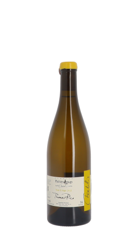 Domaine Pattes Loup, Vent d'Ange 2022 Blanc 75cl