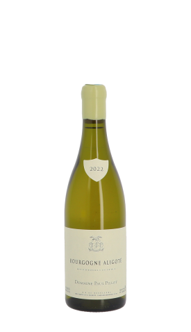 Domaine Paul Pillot 2022 Blanc 75cl