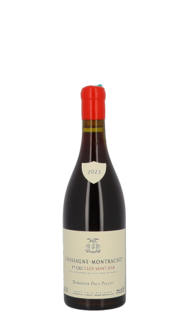 Domaine Paul Pillot, Clos Saint Jean 2023 Rouge 75cl