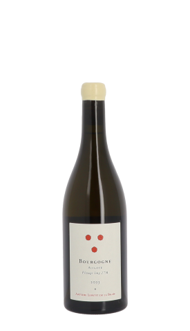 Antoine Lepetit de la Bigne, Elevage Long 2023 Blanc 75cl