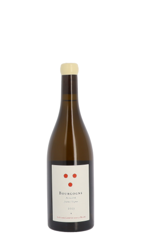 Antoine Lepetit de la Bigne, Jeunes Vignes 2023 Blanc 75cl