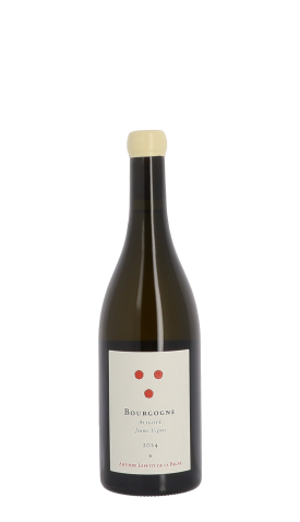 Antoine Lepetit de la Bigne, Jeunes Vignes 2024 Blanc 75cl