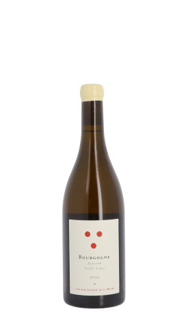 Antoine Lepetit de la Bigne, Vieilles Vignes 2023 Blanc 75cl