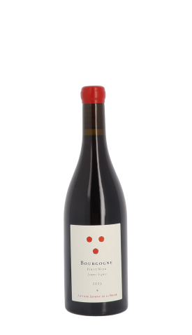 Antoine Lepetit de la Bigne, Jeunes Vignes 2023 Rouge 75cl
