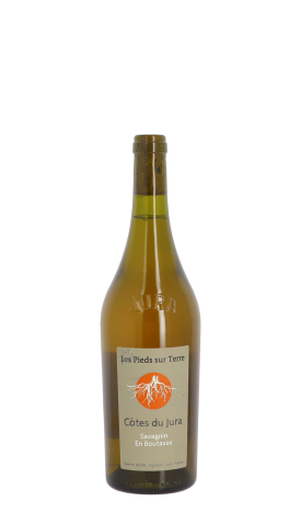 Les Pieds sur Terre En Boutasse Orange 2023 Orange 75cl